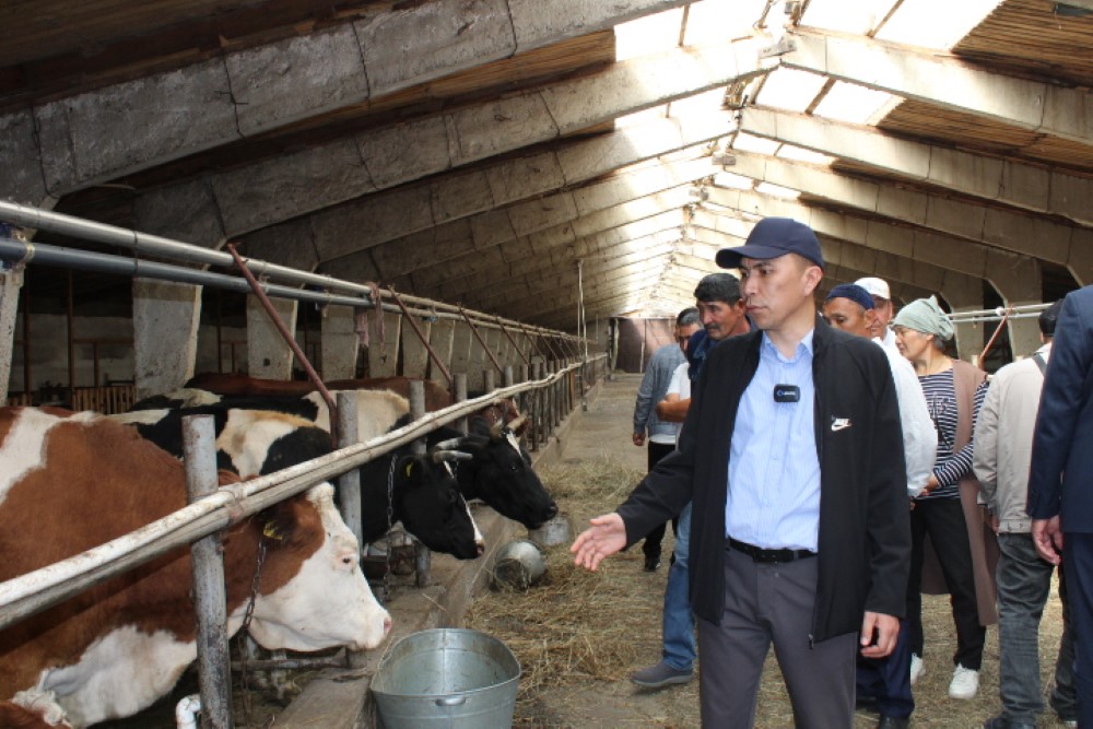 Солтүстік Қазақстан ауыл шаруашылығы ҒЗИ етті мал өсіру бойынша оқыту семинарын өткізді